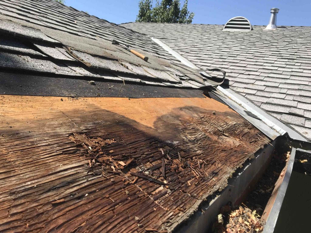 Dry Rot Repairs in Grants Pass Oregon